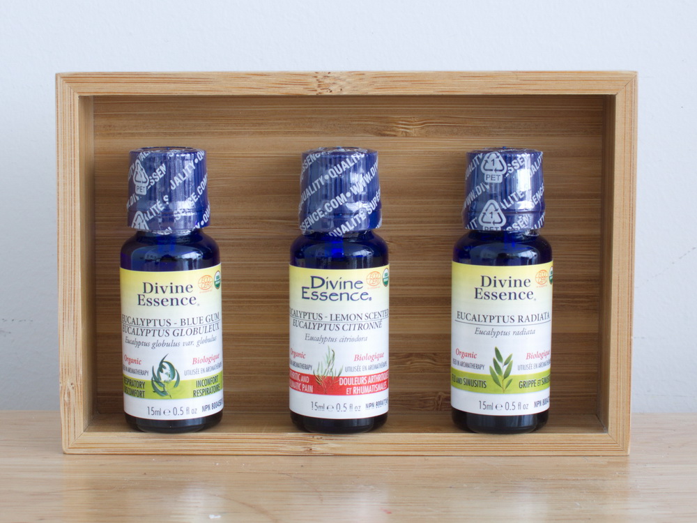 Choisir huile essentielle eucalyptus - choose eucalyptus essential oil